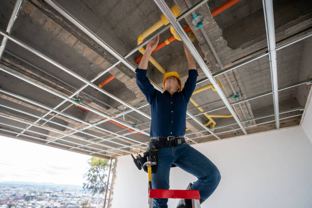 Best Plumbing Inspection Services  in Eagle River, WI